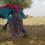 Mausi Ki Chudai Ki Kahani - कुंवारी मौसी ने खेत में मजे से लिया लंड